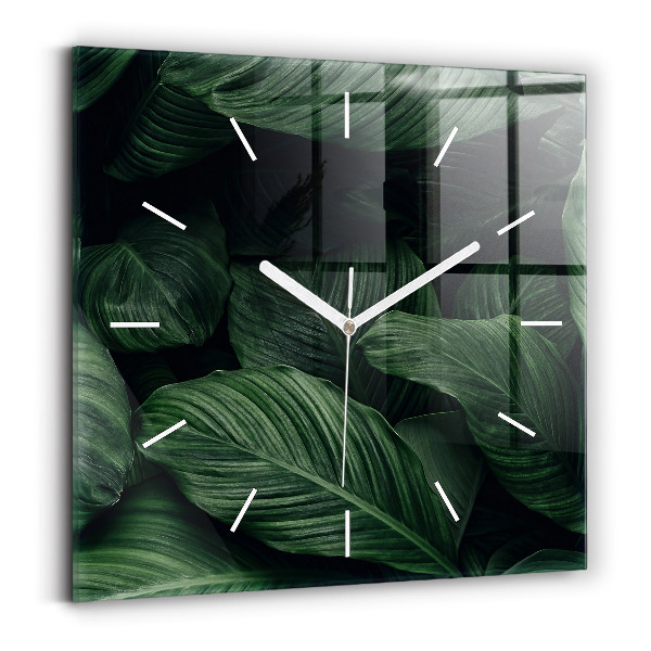 Szögletes üvegóra Trópusi monstera