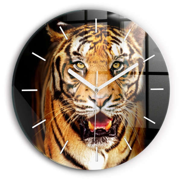 Kerek üvegóra Vad szemű tigris