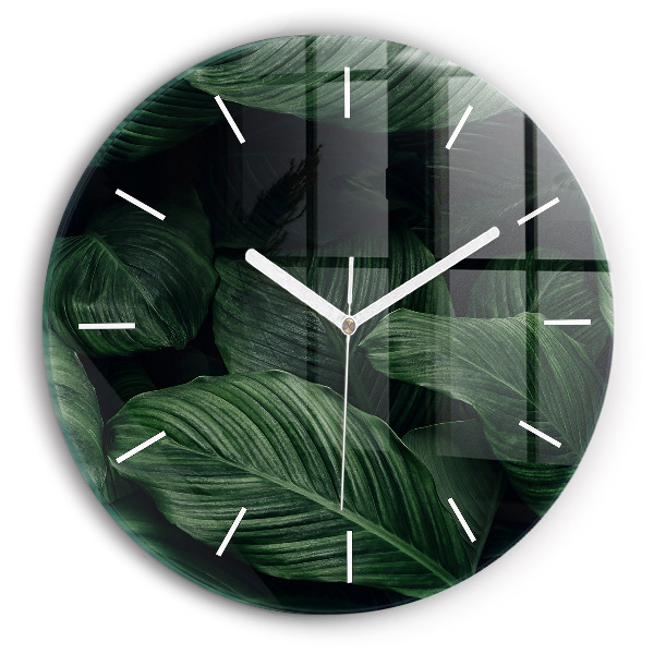 Kerek fali üvegóra Trópusi monstera